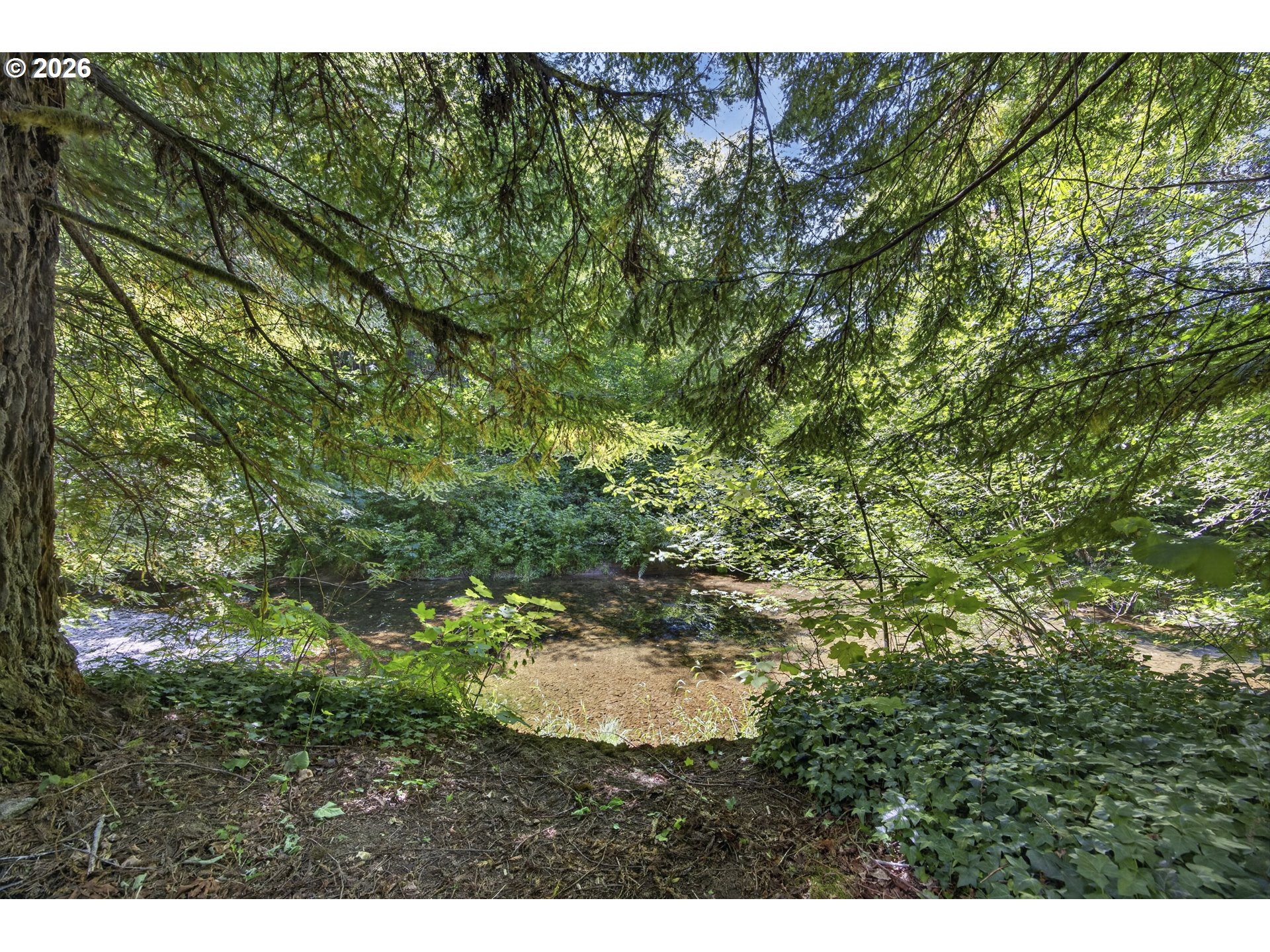 12290 Highway 126 Mapleton, OR 97453 - Photo 41 of 43 Creek