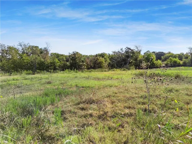 a view of a field with trees in the background