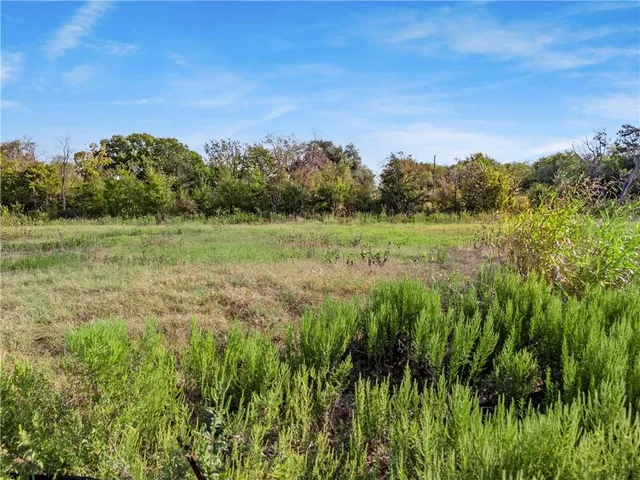 a view of a lush green space