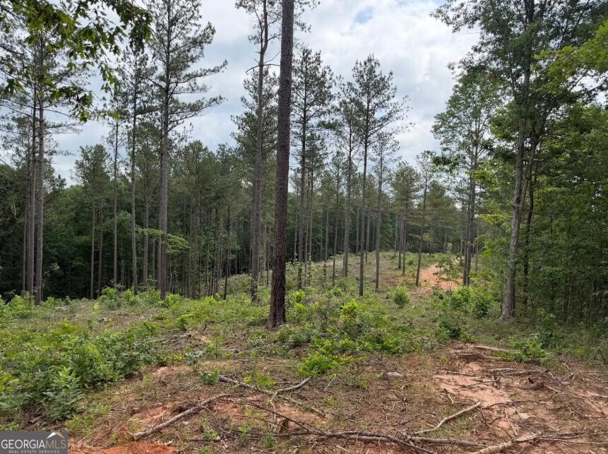 0 Mt Sinai Road, Unit LOT 1 Lula, GA 30554 - Photo 44 of 67