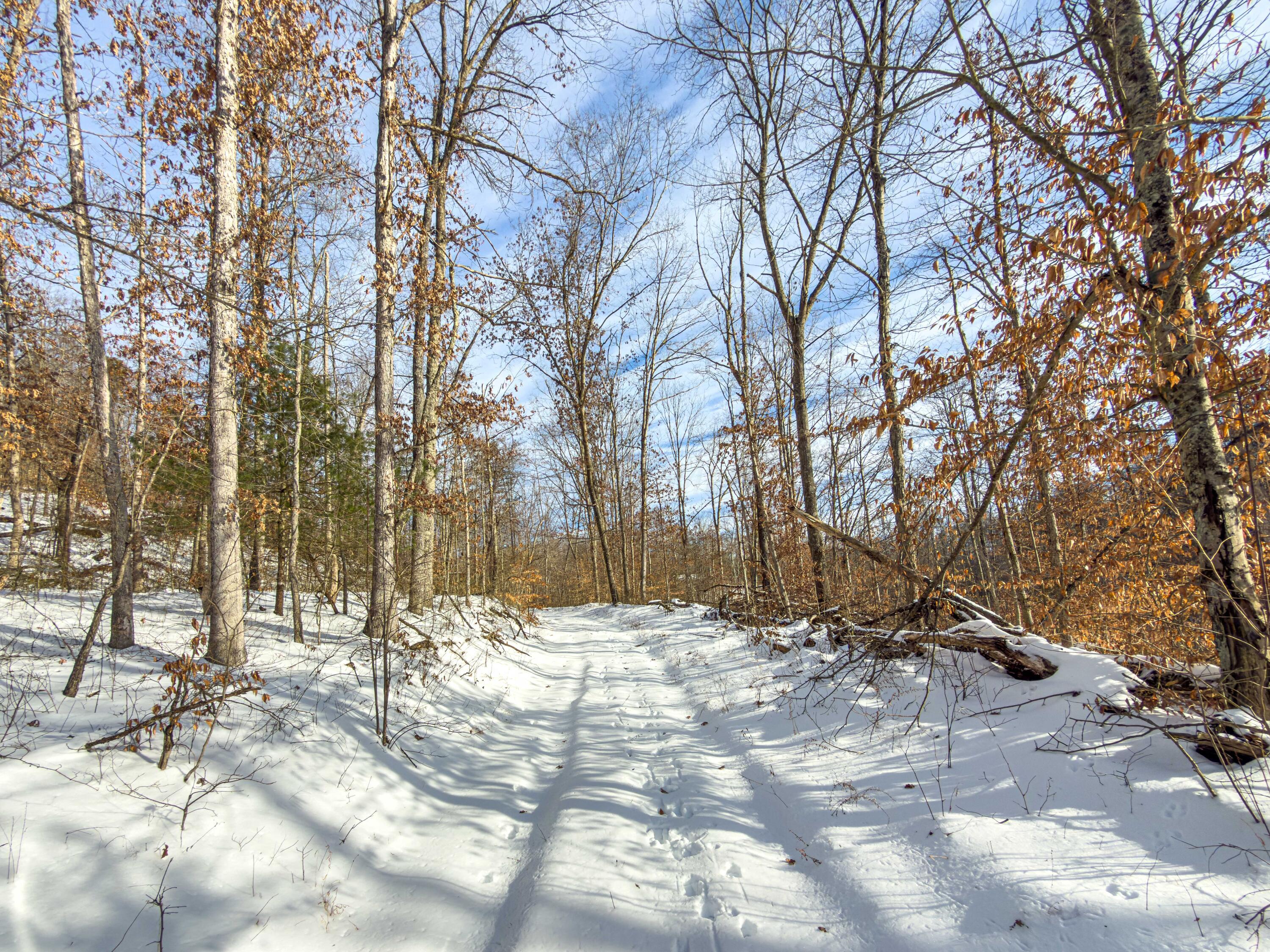 36472 Kern Road Union Furnace, OH 43158 - Photo 59 of 68 Kern Rd-59