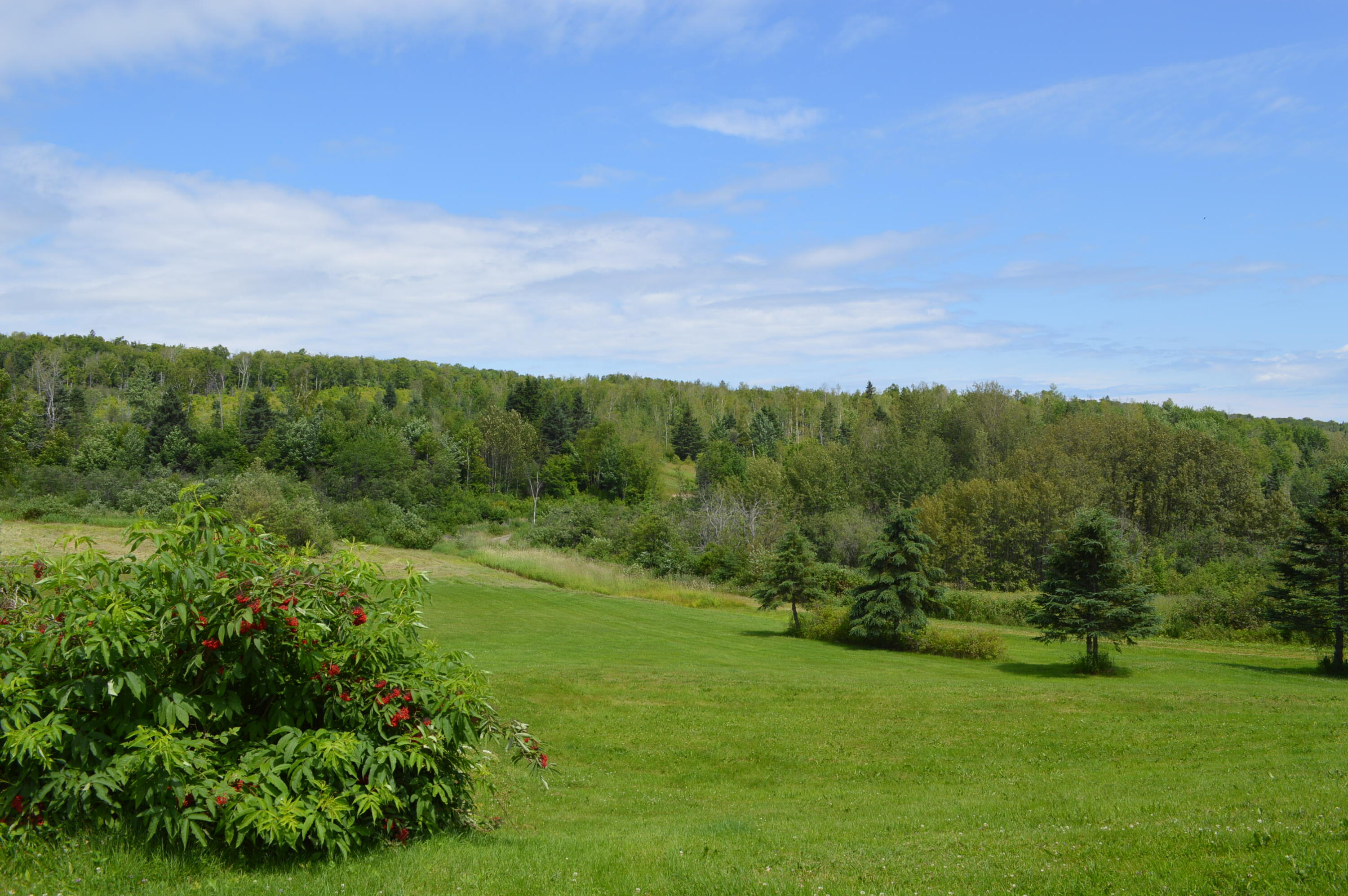 196 Aspen Road Madawaska, ME 04756 - Photo 19 of 47 House views