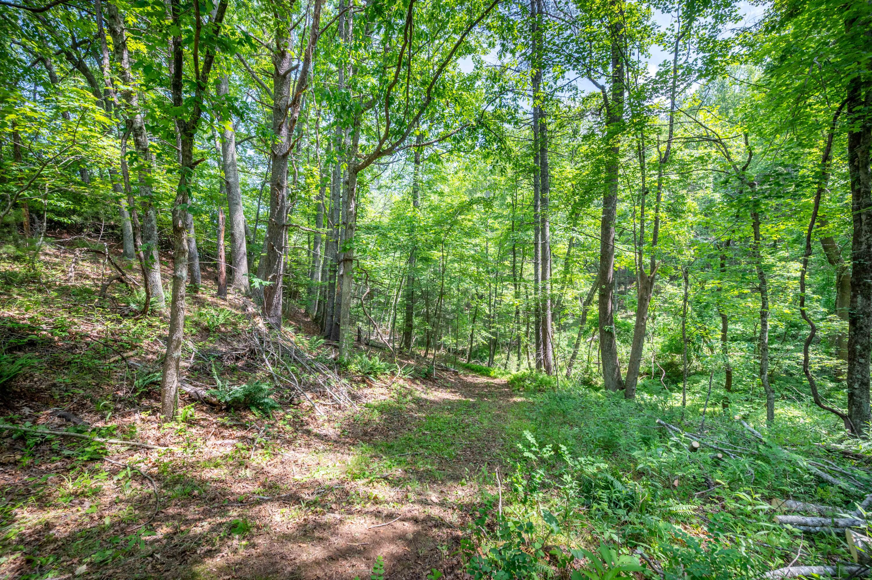 1073 Timberline Road Southeast Copper Hill, VA 24079 - Photo 34 of 56 33
