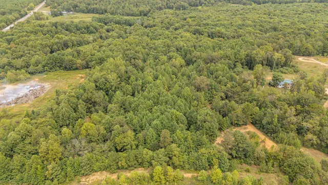 a view of a big yard with large trees