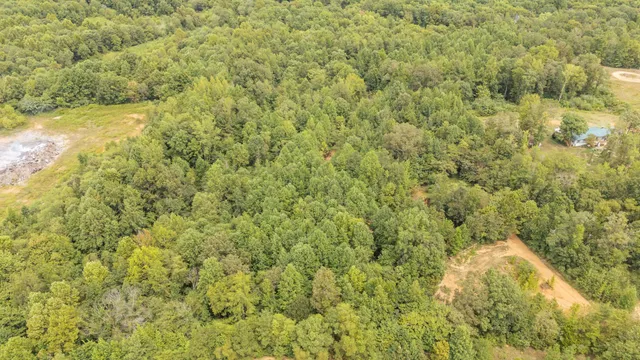 a view of a green field