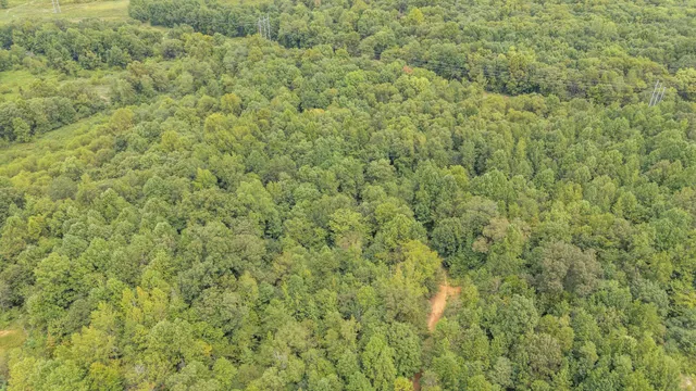 a view of a big yard with plants and large window