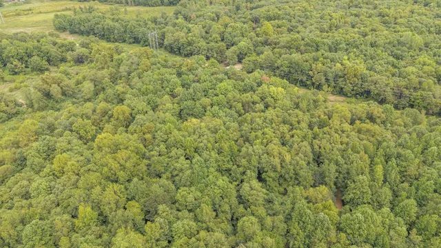a view of a yard with an outdoor space