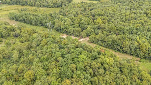 a view of a yard with an outdoor space