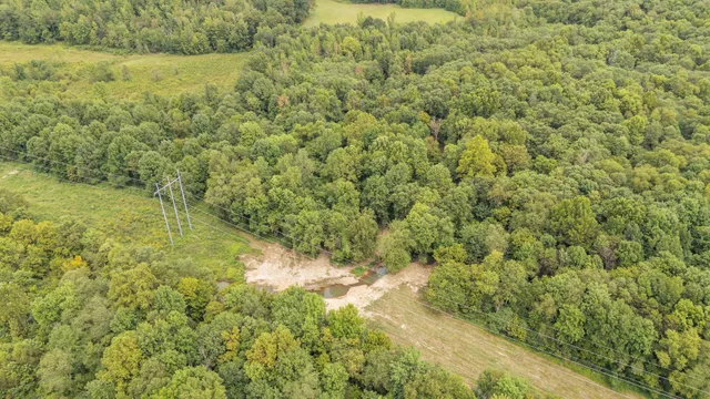 a view of a field of grass and trees