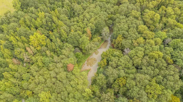 a view of a forest with a houses