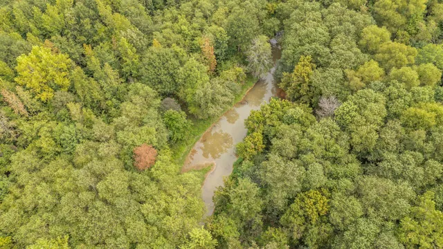 a view of a field of grass and trees