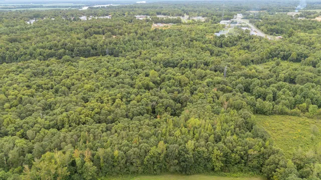 a view of a yard with an outdoor space
