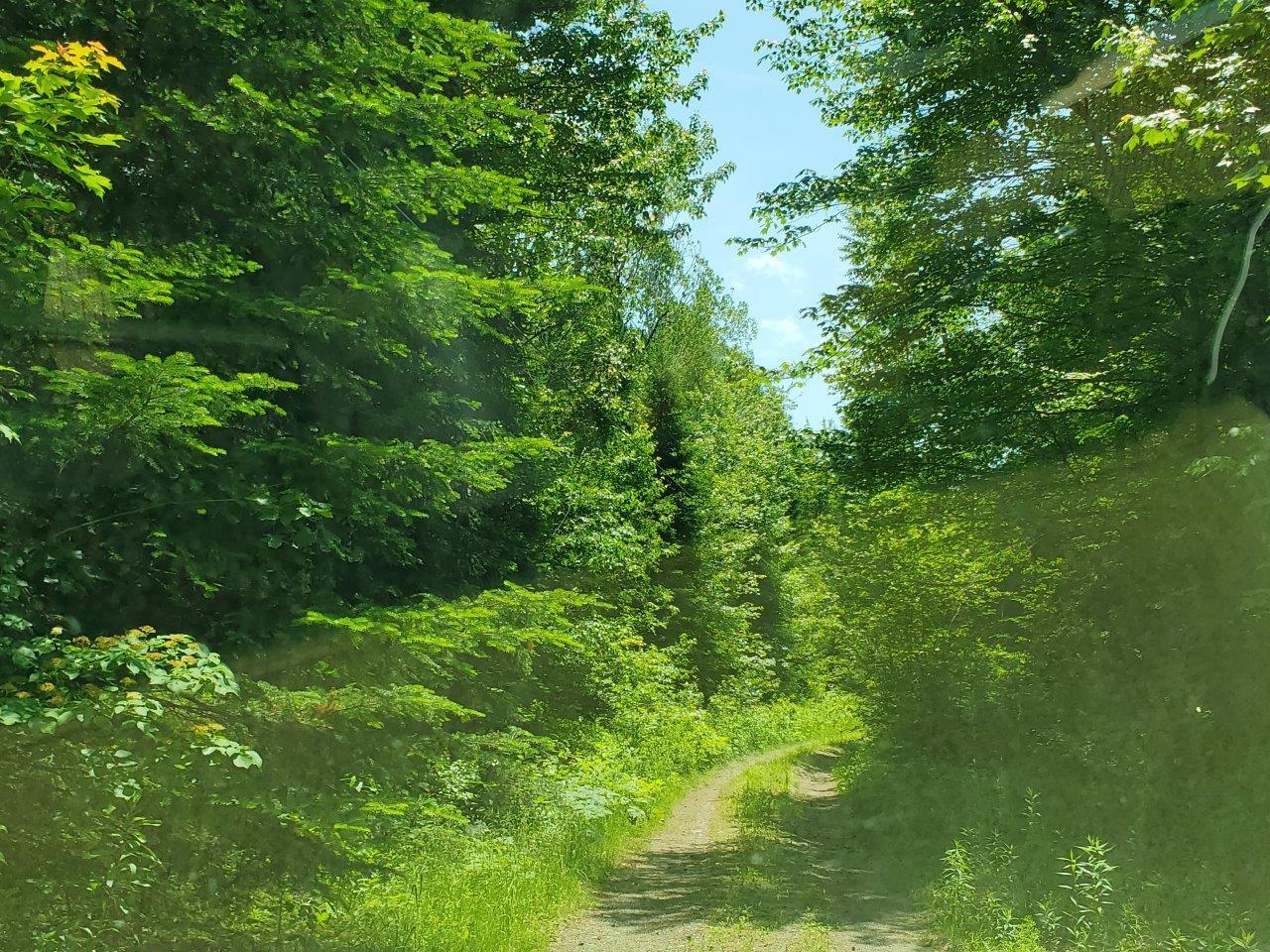 0 Morgan Road Burnham, ME 04922 - Photo 6 of 69 20250617_123501