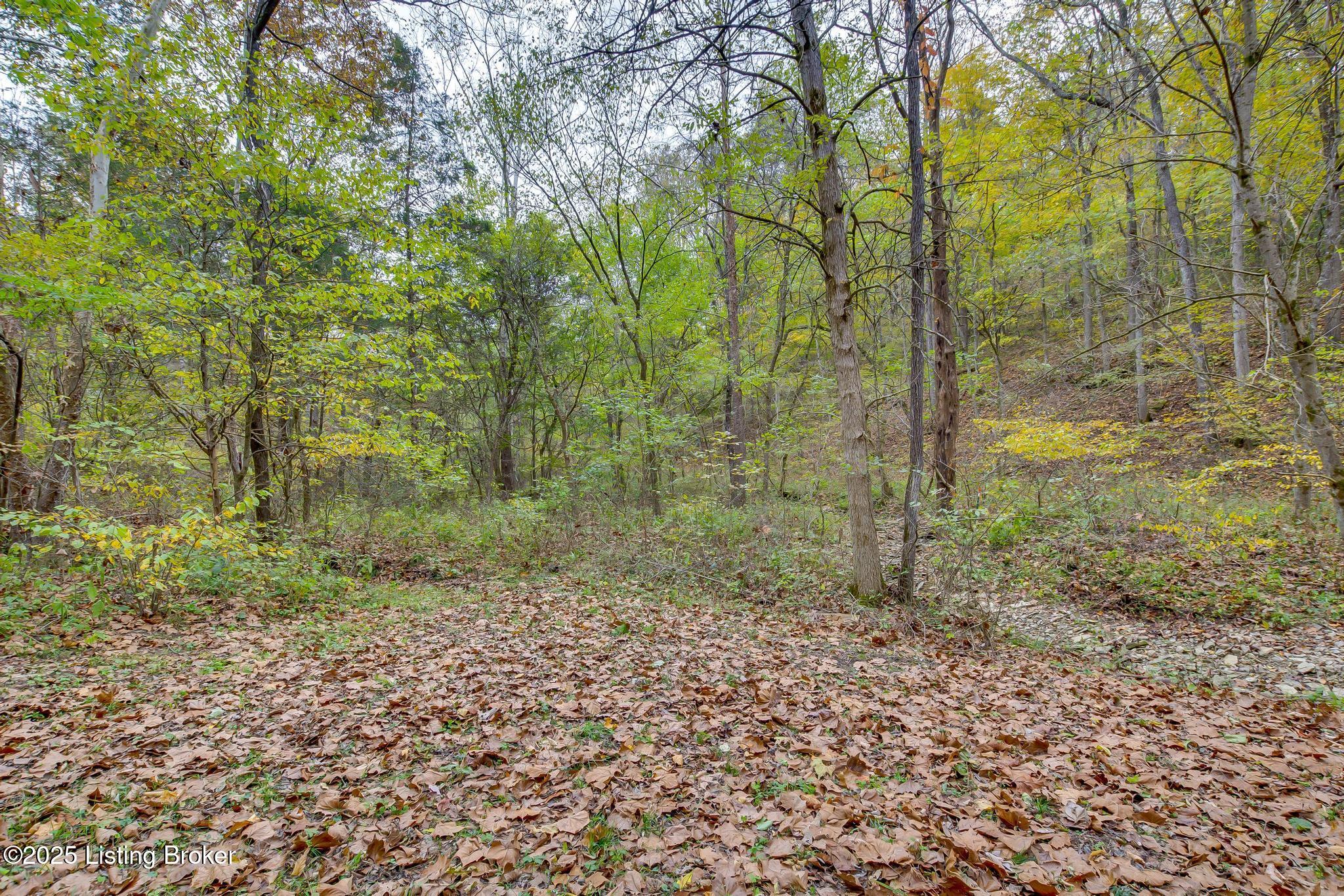Lot 8 Bray Ridge Road Bedford, KY 40006 - Photo 17 of 46 BrayRidgeRd_746