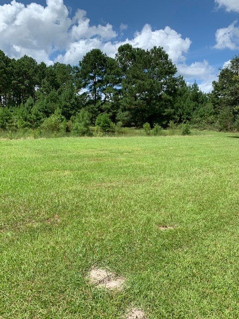 1481 River Road Lakeland, GA 31635 - Photo 2 of 32 Gallery Image 2