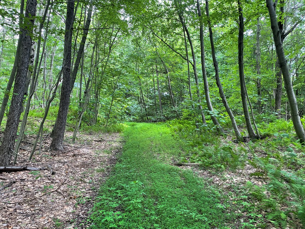 0 Irishtown Road Grampian, PA 16838 - Photo 23 of 27