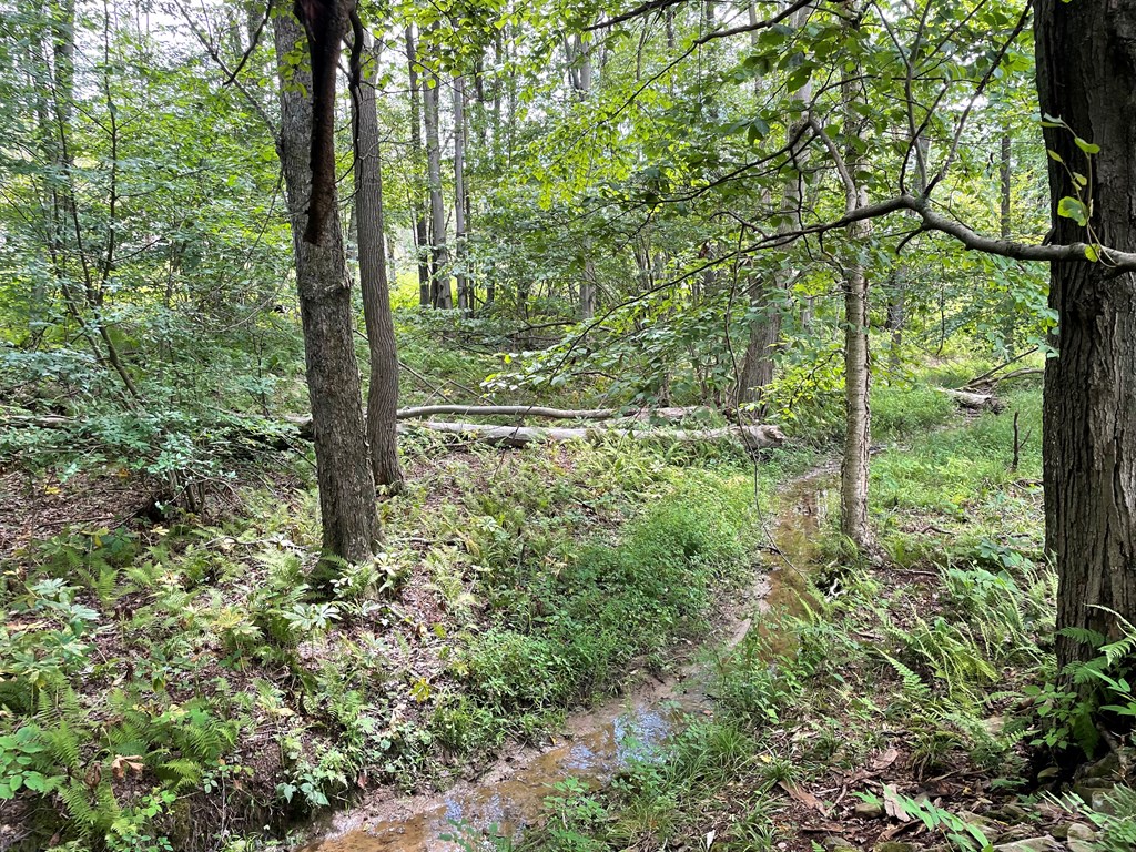 0 Irishtown Road Grampian, PA 16838 - Photo 10 of 27