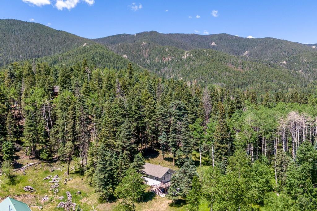 519 Westcliffe Drive Rye, CO 81069 - Photo 16 of 34