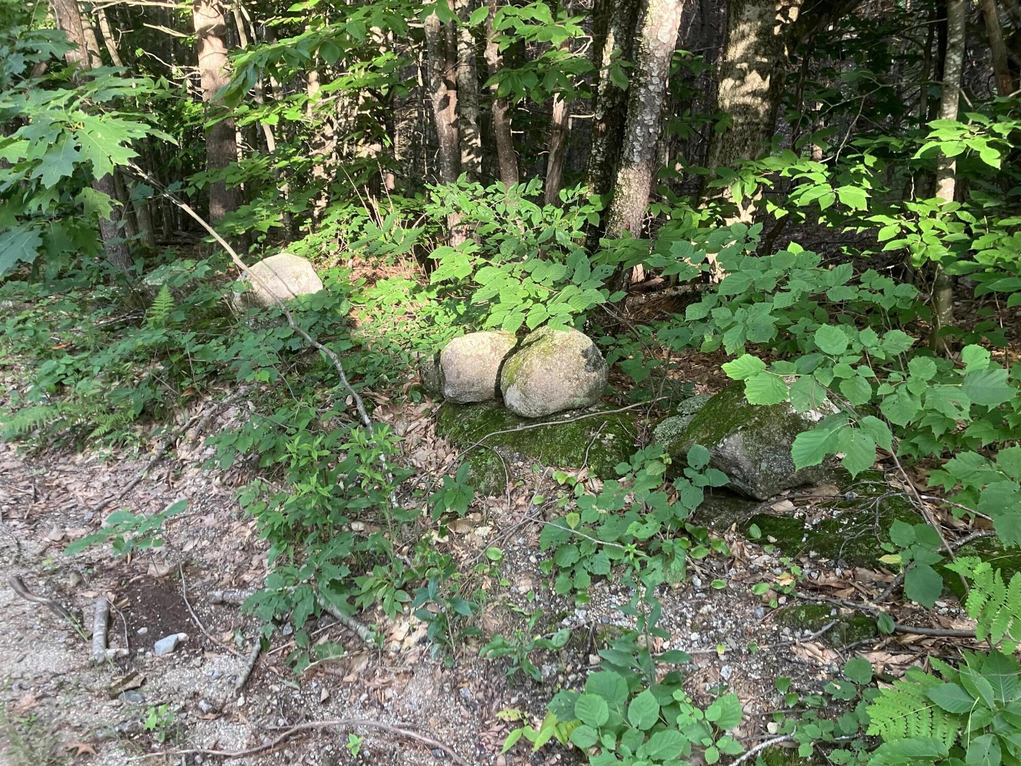 0 Isaac Stevens Road Bridgton, ME 04009 - Photo 5 of 15 Stone_WallS