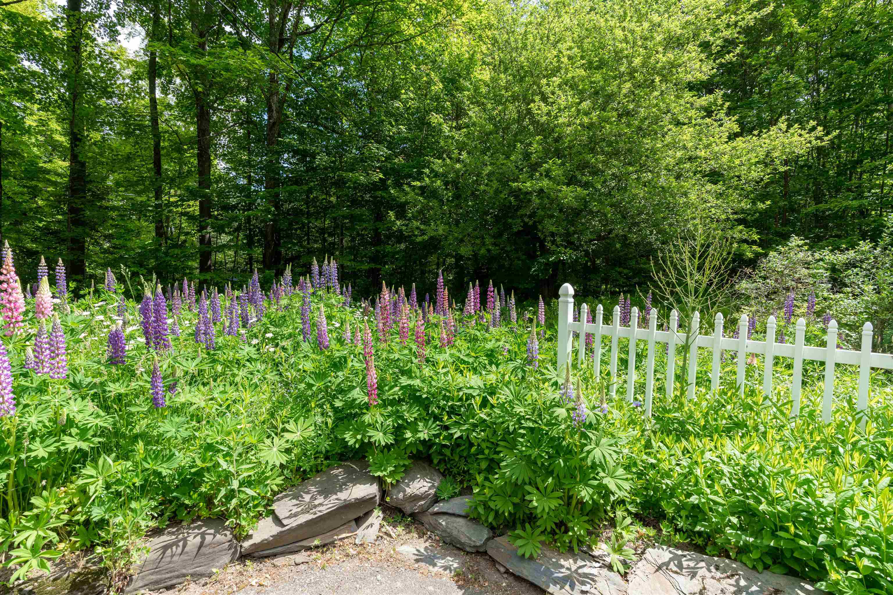 114 Elmore Mountain Road Stowe, VT 05672 - Photo 12 of 35