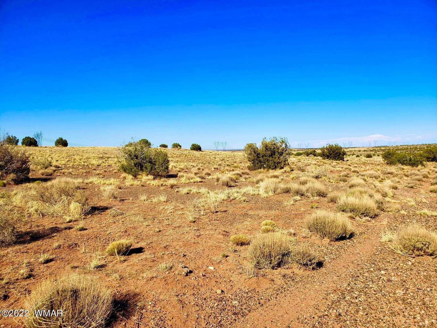 5263 Churchill Road Snowflake, AZ 85937 - Photo 12 of 22 Gallery Image 12