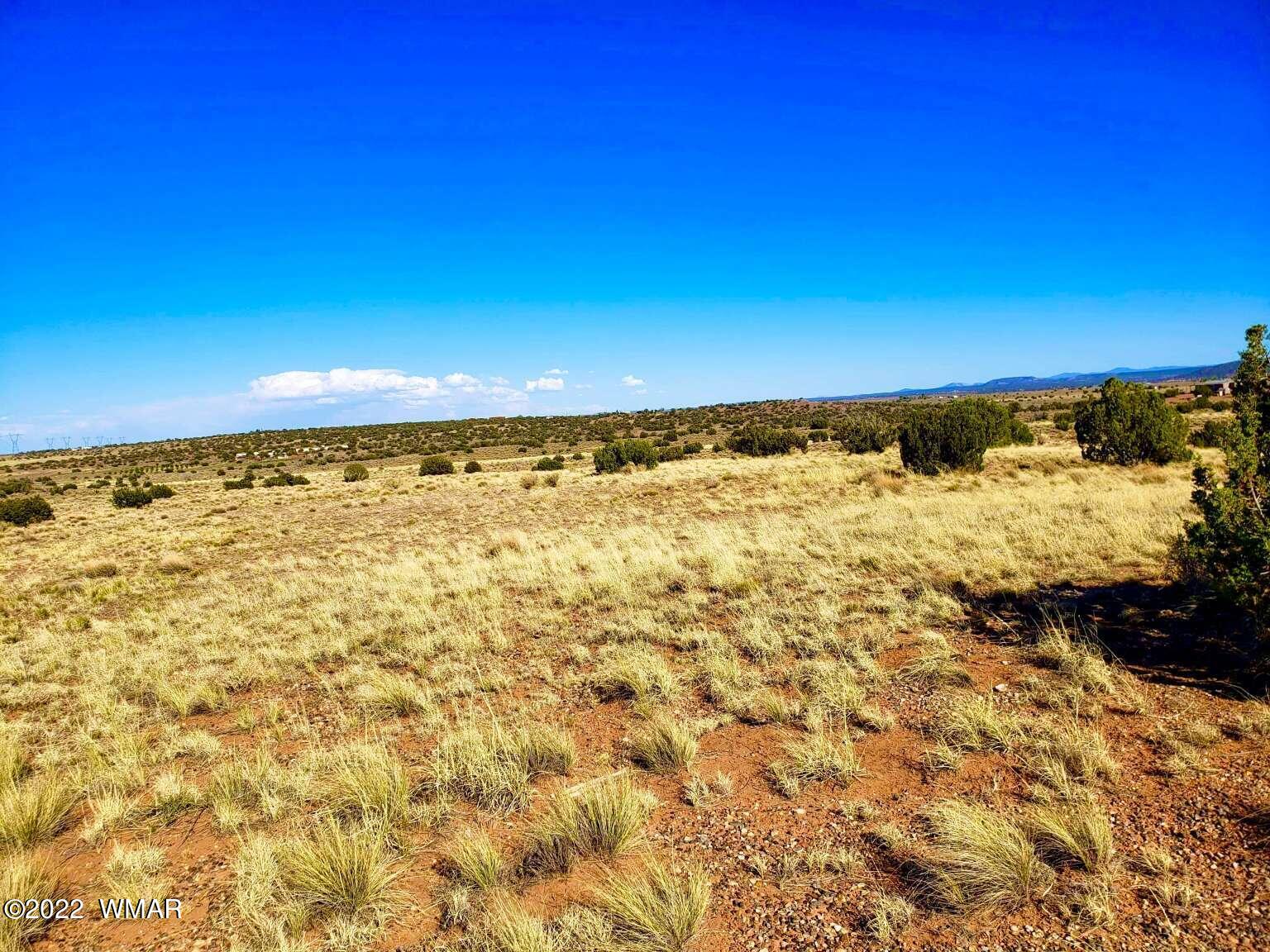 5263 Churchill Road Snowflake, AZ 85937 - Photo 14 of 22 Gallery Image 14