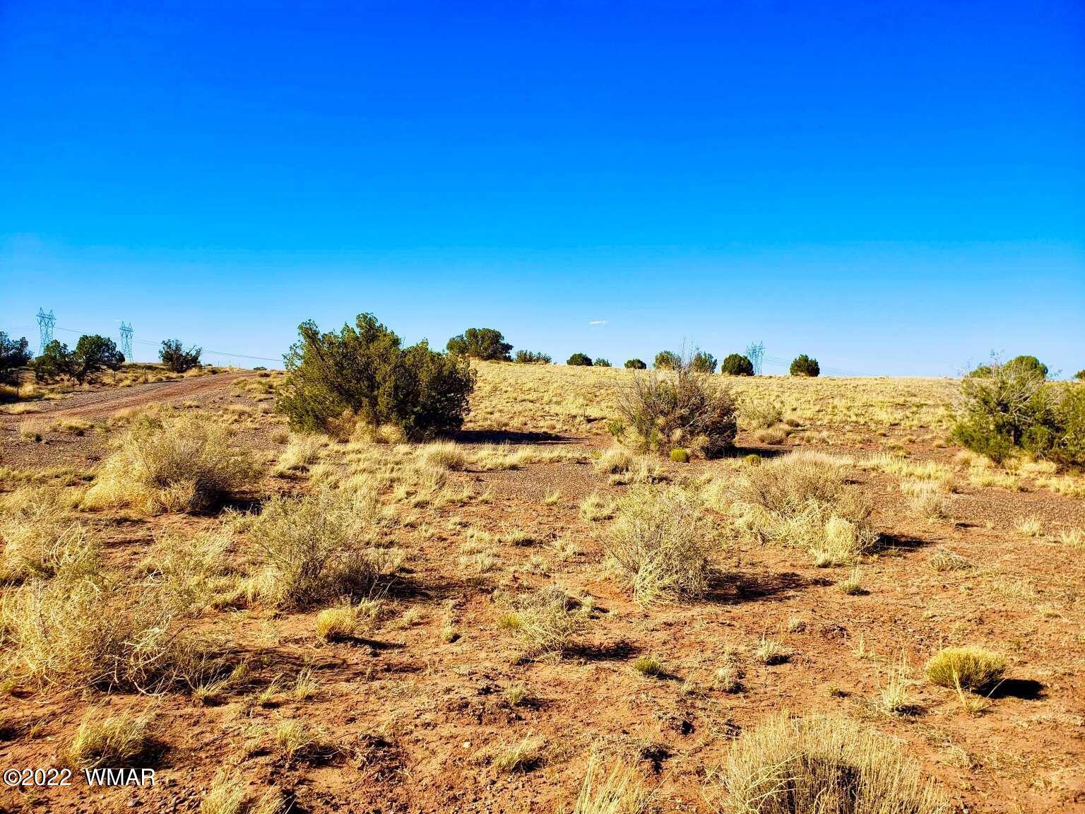 5263 Churchill Road Snowflake, AZ 85937 - Photo 16 of 22 Gallery Image 16