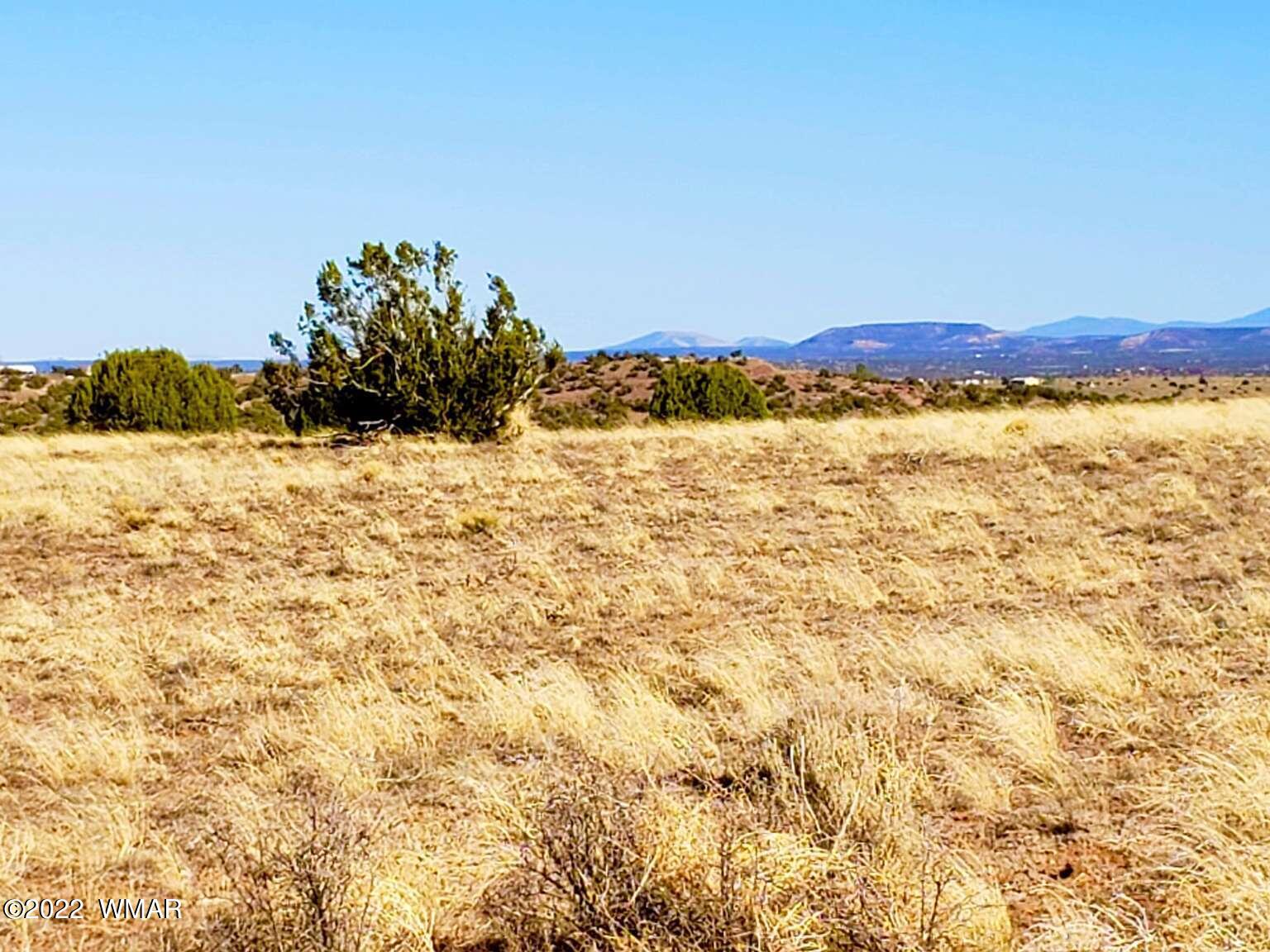 5263 Churchill Road Snowflake, AZ 85937 - Photo 8 of 22 Gallery Image 8