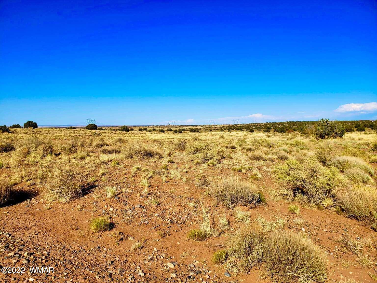 5263 Churchill Road Snowflake, AZ 85937 - Photo 10 of 22 Gallery Image 10