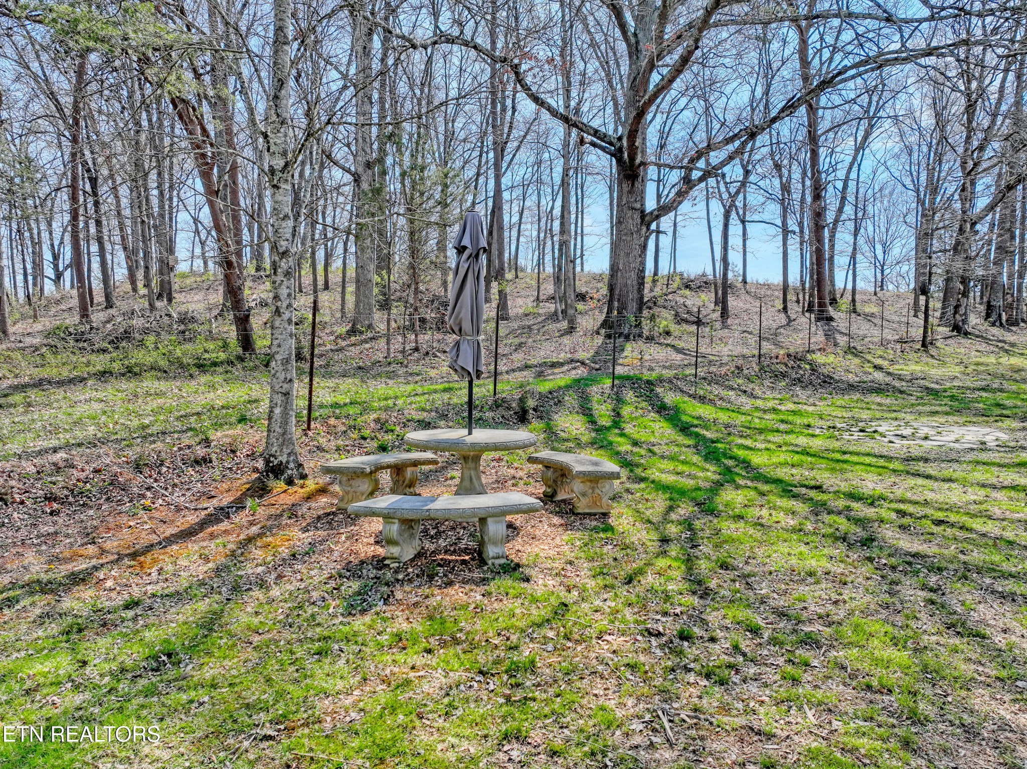 347 Prospect Road Walland, TN 37886 - Photo 36 of 43 Gallery Image 36