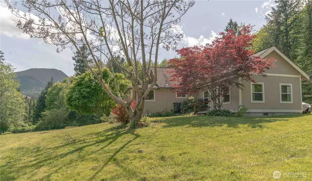 a view of a flower in a garden