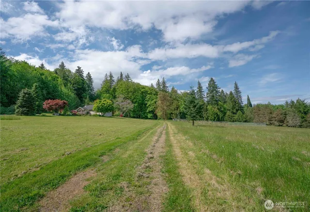 a view of a big yard with green space
