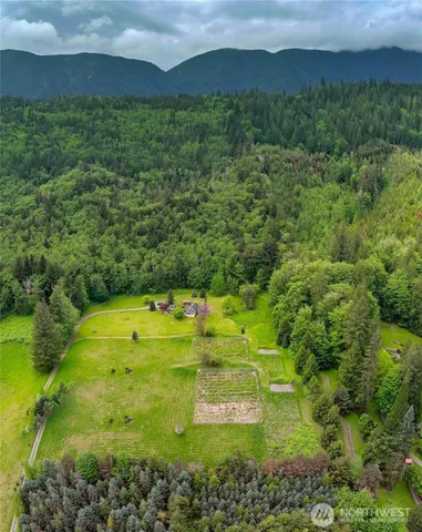 a view of a yard with an outdoor space