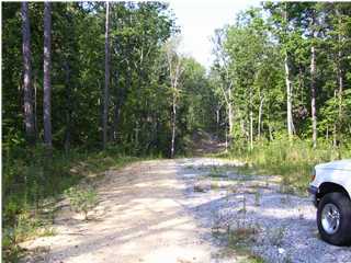 1 Jones Gap Road Soddy Daisy, TN 37379 - Photo 1 of 3 Primary Photo