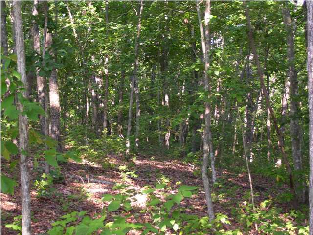 1 Jones Gap Road Soddy Daisy, TN 37379 - Photo 2 of 3 Additional Photo