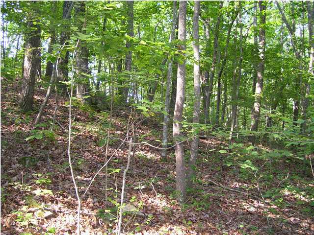 1 Jones Gap Road Soddy Daisy, TN 37379 - Photo 3 of 3 Additional Photo