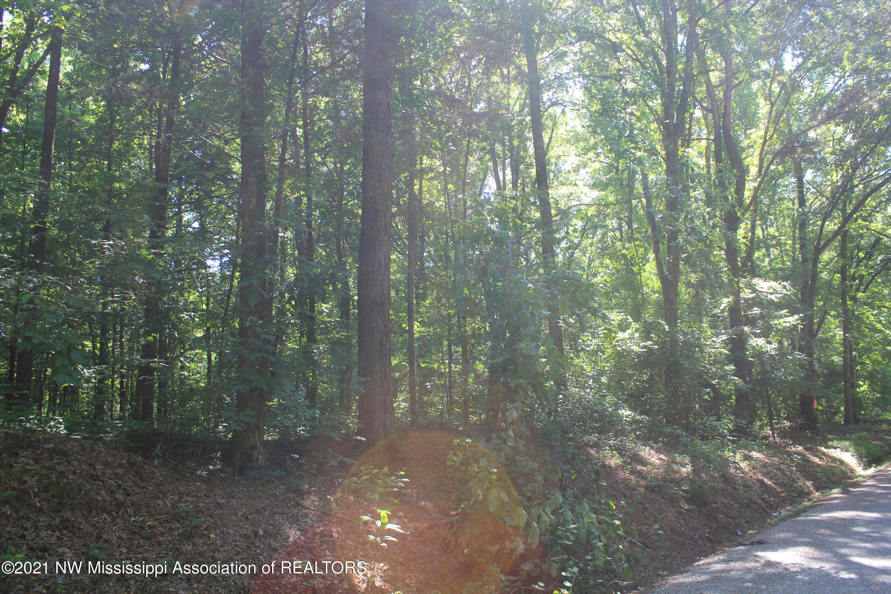 4 Boswell Road Holly Springs, MS 38635 - Photo 1 of 39 IMG_6787