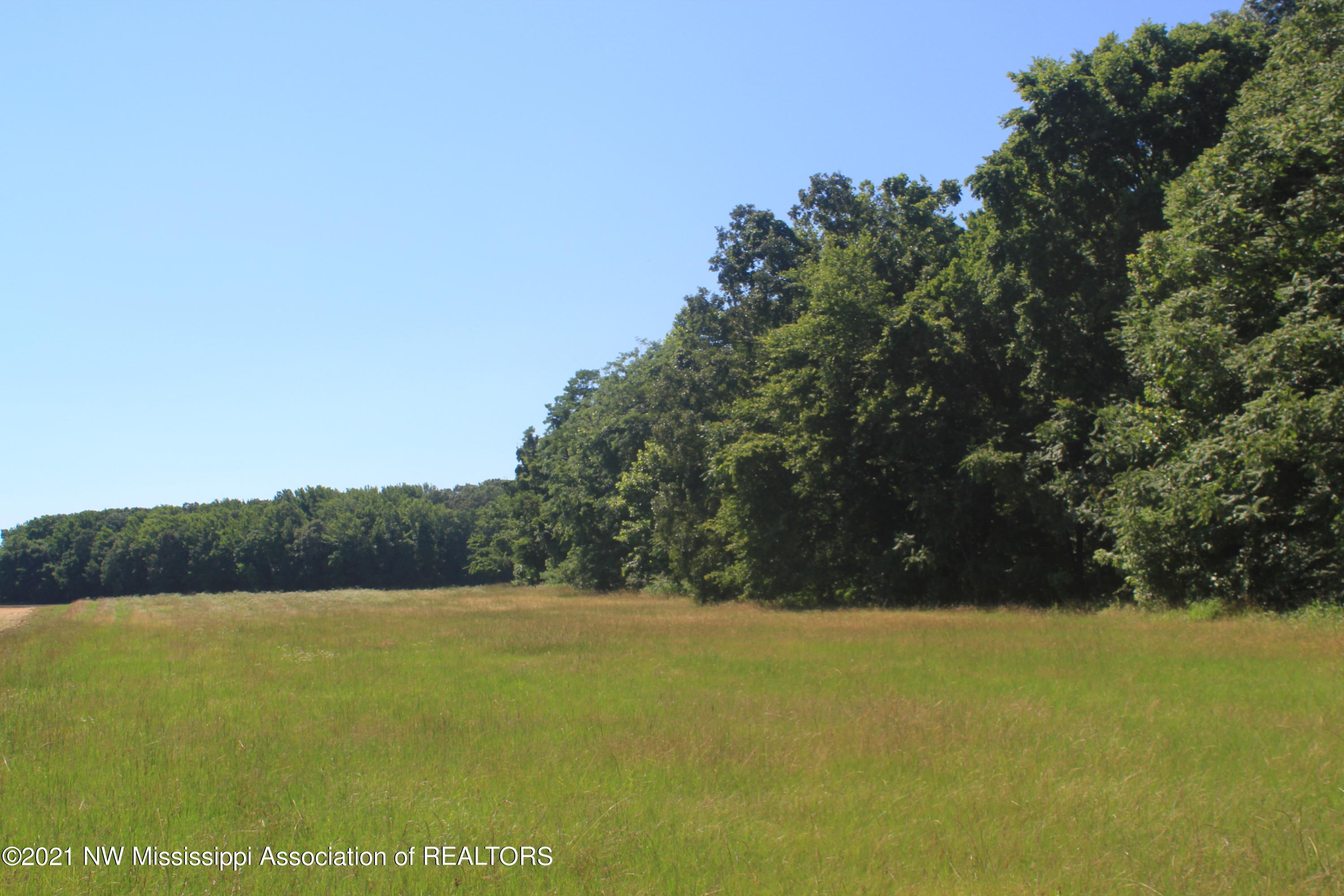 4 Boswell Road Holly Springs, MS 38635 - Photo 21 of 39 IMG_6807
