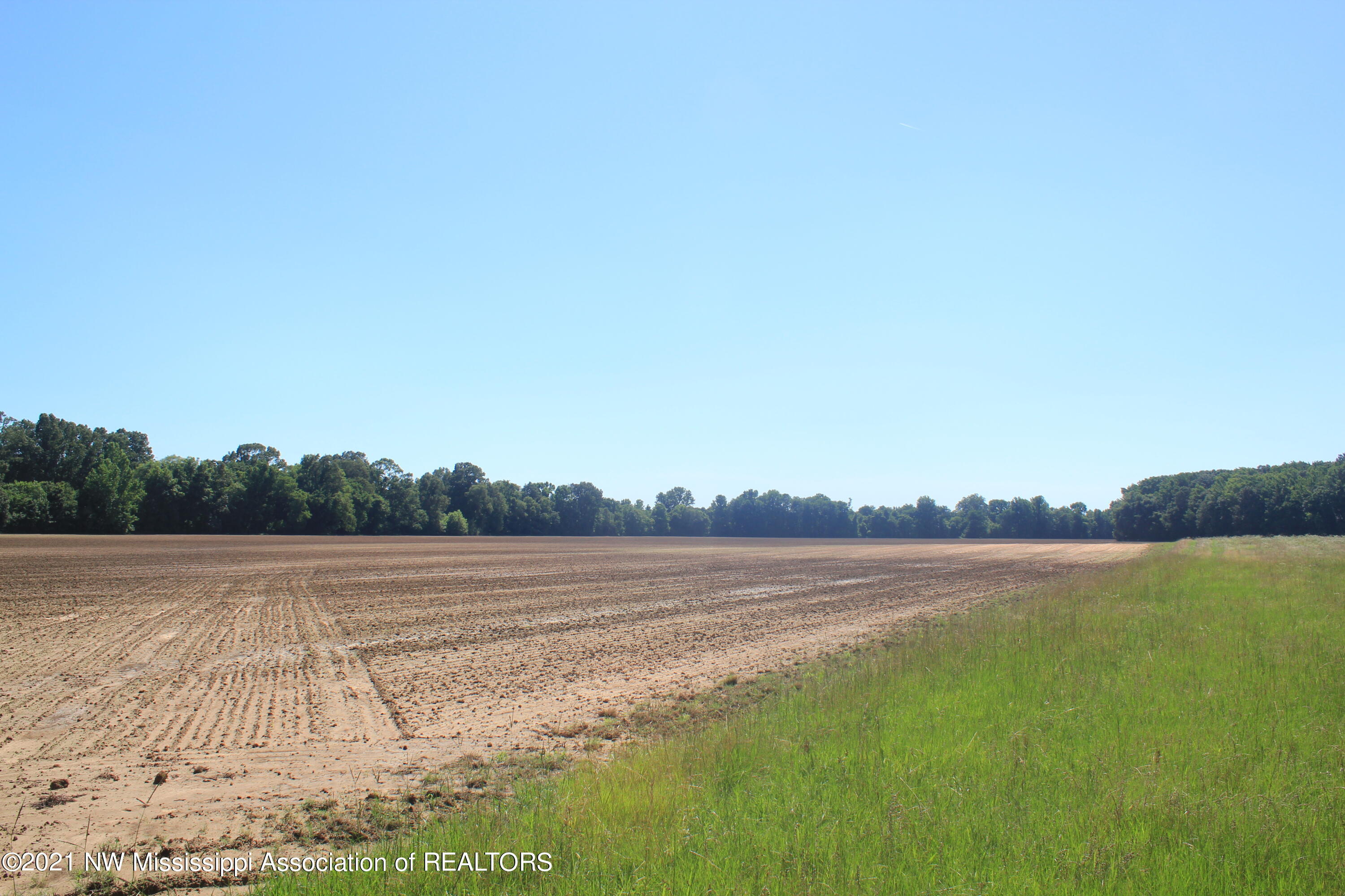 4 Boswell Road Holly Springs, MS 38635 - Photo 22 of 39 IMG_6808