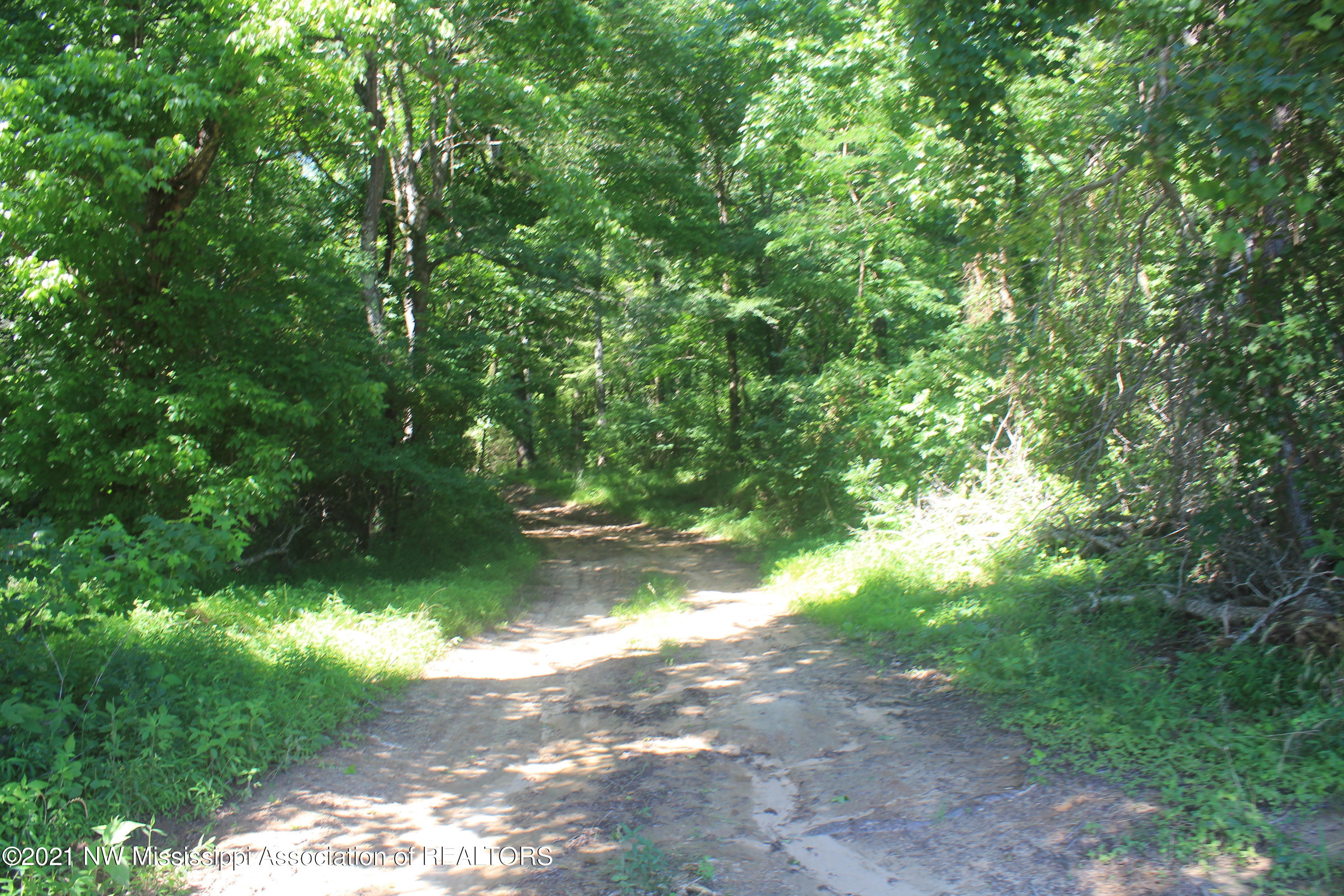 4 Boswell Road Holly Springs, MS 38635 - Photo 26 of 39 IMG_6812