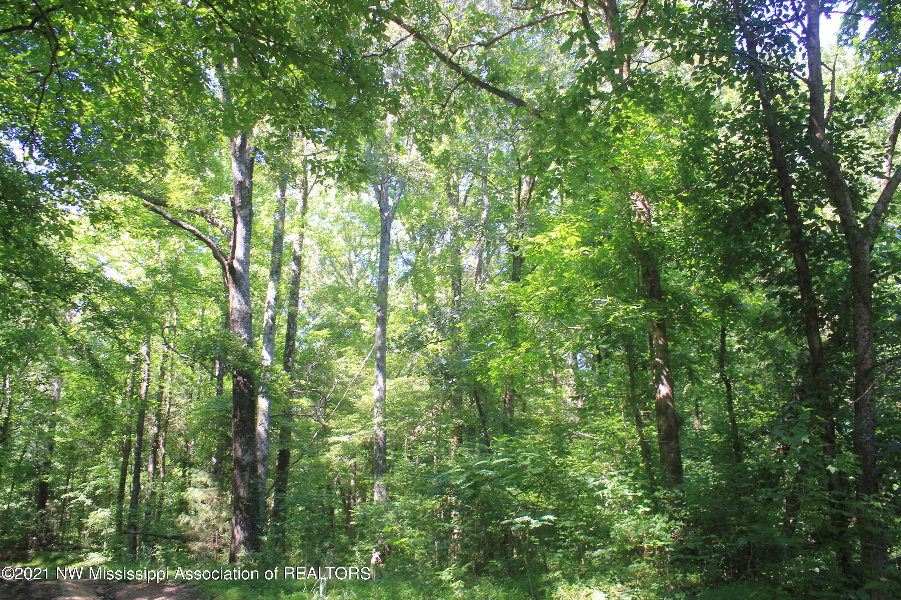 4 Boswell Road Holly Springs, MS 38635 - Photo 27 of 39 IMG_6813