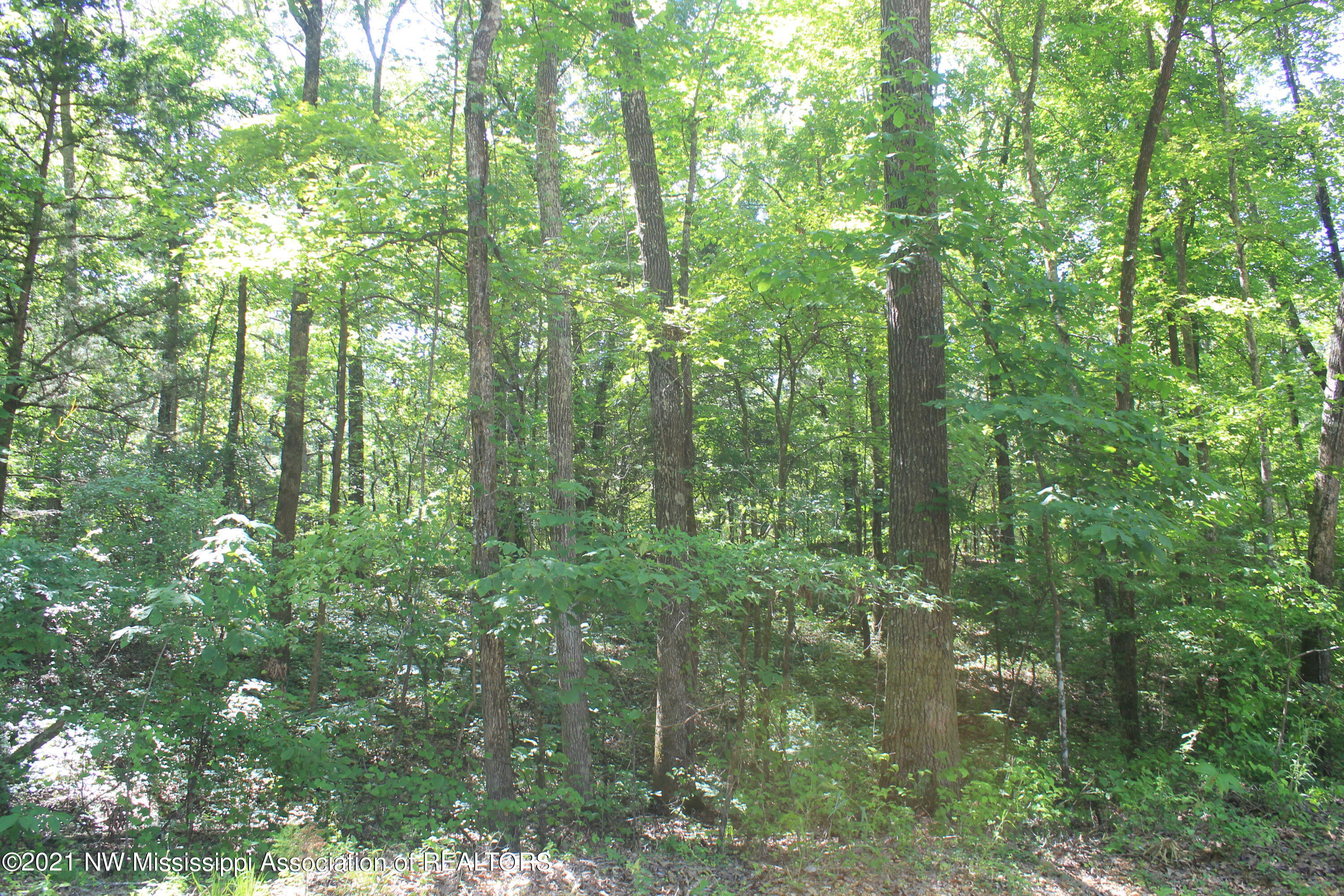 4 Boswell Road Holly Springs, MS 38635 - Photo 33 of 39 IMG_6819