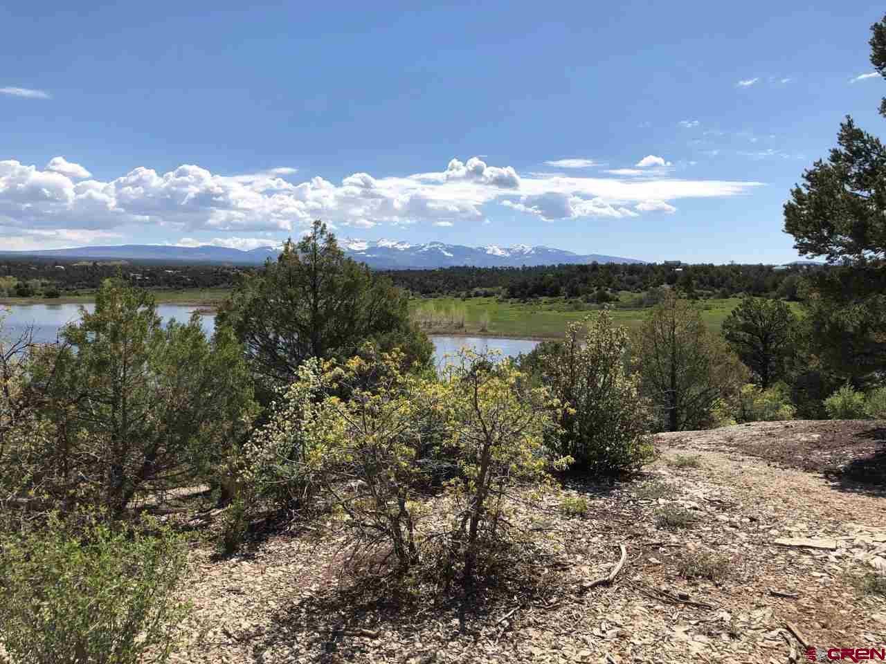 Lot 9 Road P 2 Loop Mancos, CO 81328 - Photo 3 of 4