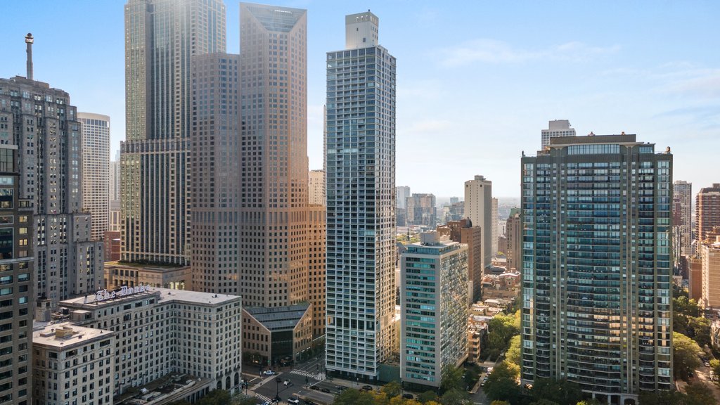 1000 North Lake Shore Plaza, Unit 13A Chicago, IL 60611 - Photo 2 of 30 a view of a city