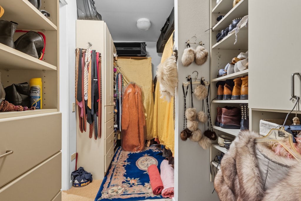 1000 North Lake Shore Plaza, Unit 13A Chicago, IL 60611 - Photo 22 of 30 a view of walk in closet with clothes and shoes