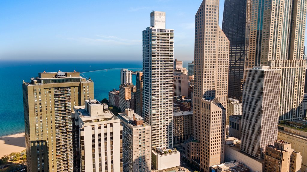 1000 North Lake Shore Plaza, Unit 13A Chicago, IL 60611 - Photo 3 of 30 a view of buildings