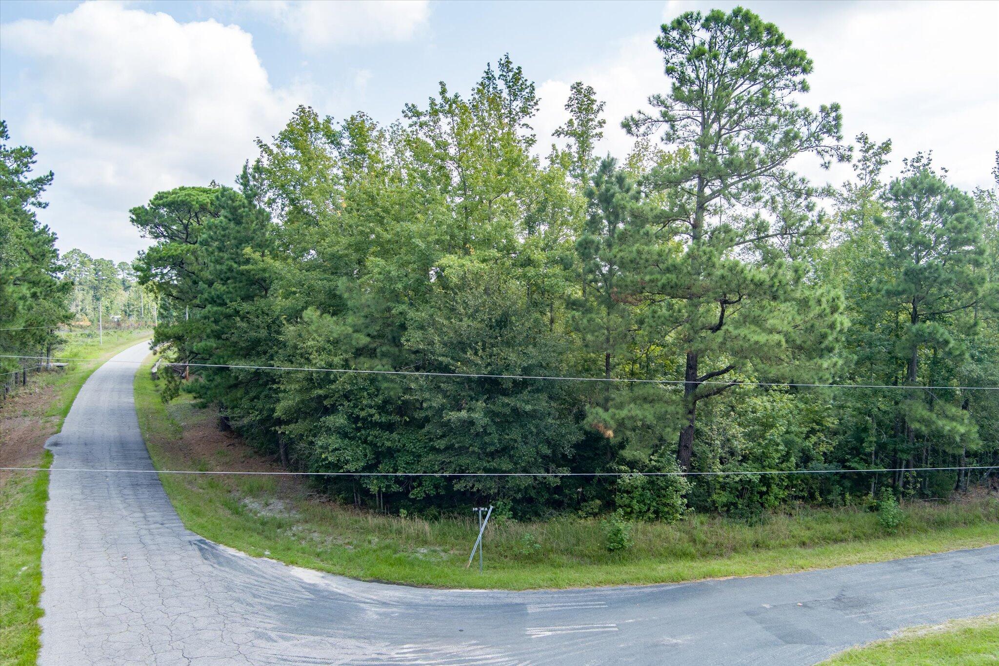 0 Tumbleweed Berea Road Smoaks, SC 29481 - Photo 5 of 18 14-Smoaks_d_Lowcountry_Exposure-4