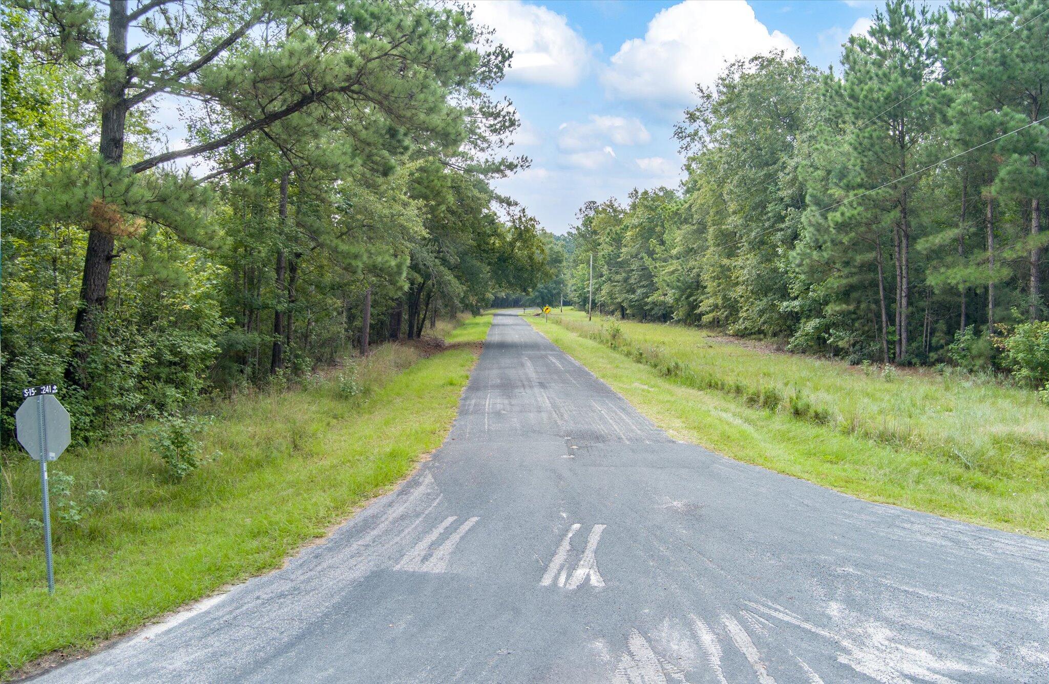 0 Tumbleweed Berea Road Smoaks, SC 29481 - Photo 6 of 18 15-Smoaks_d_Lowcountry_Exposure-7