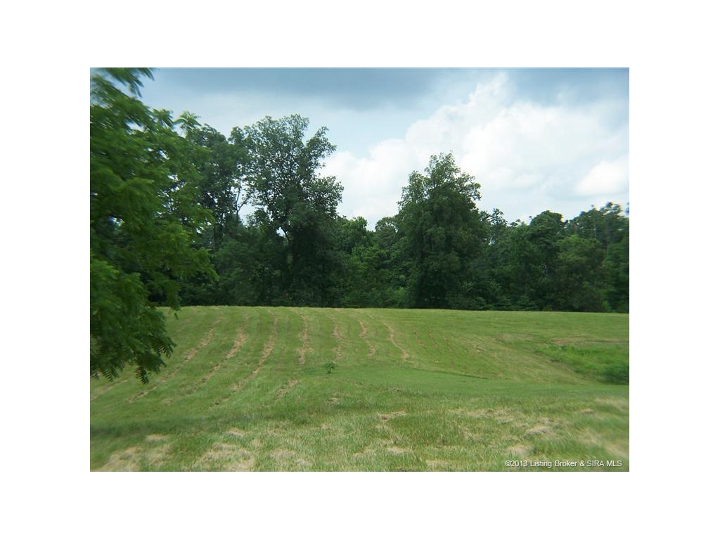 Gallery Image 6
