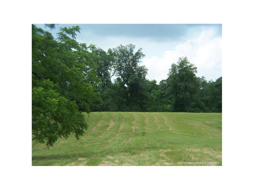 Gallery Image 7